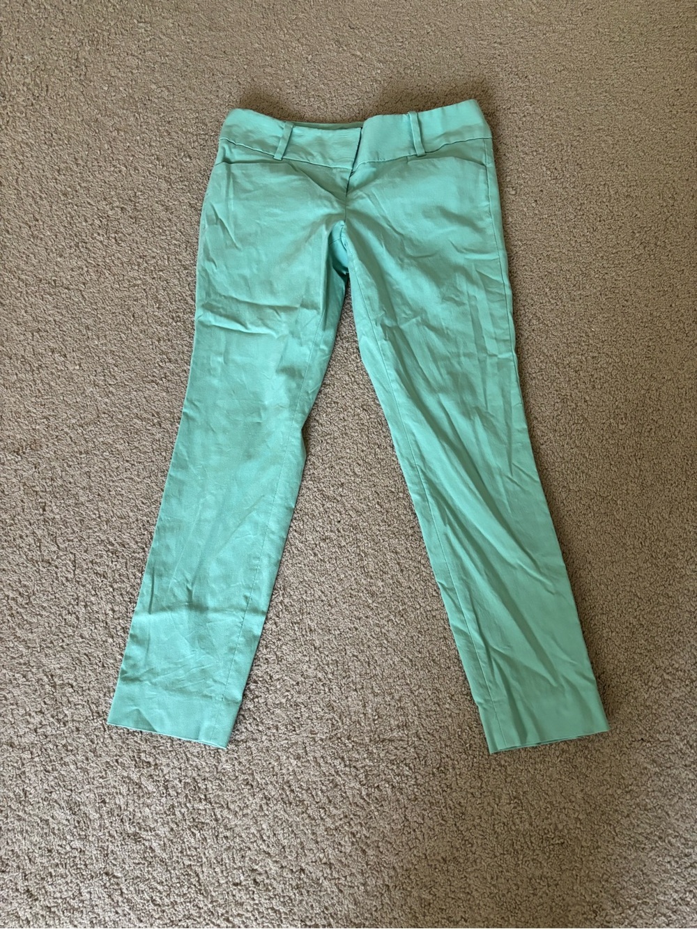 The Limited Women’s Mint Green Stretch Pants